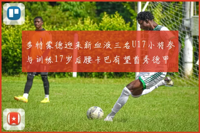 多特蒙德迎来新血液三名U17小将参与训练17岁后腰卡巴有望首秀德甲