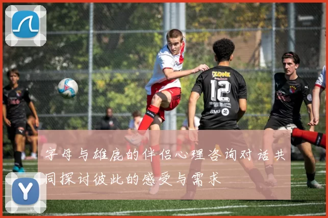 字母与雄鹿的伴侣心理咨询对话共同探讨彼此的感受与需求